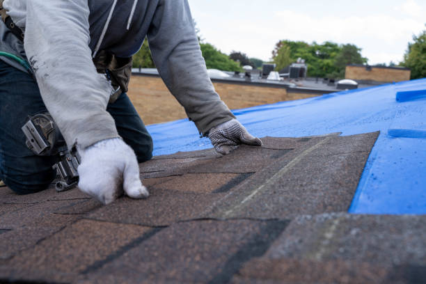 Best Local Roofing Companies  in Ann Arbor, MI