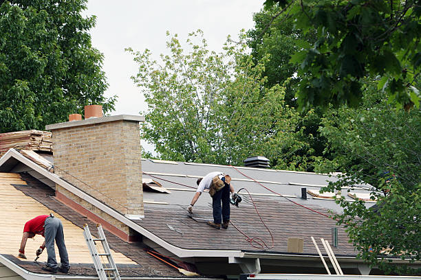 Best Roof Gutter Cleaning  in Ann Arbor, MI