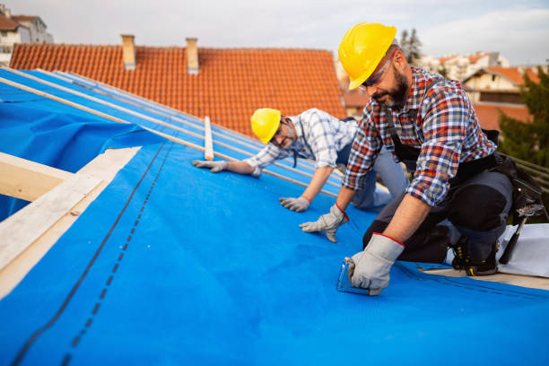 Best Metal Roofing Contractor  in Ann Arbor, MI