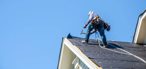 Best Storm Damage Roof Repair  in Ann Arbor, MI